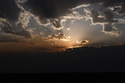 DSC_3704 (Large).JPG